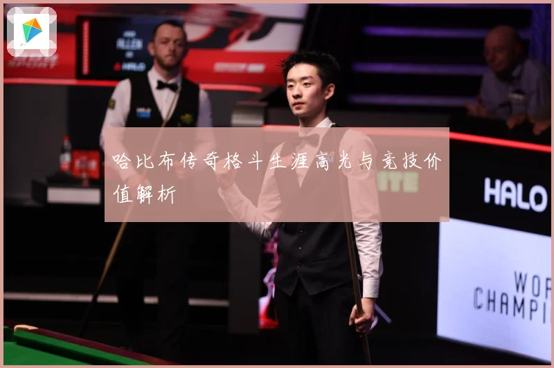 哈比布传奇格斗生涯高光与竞技价值解析