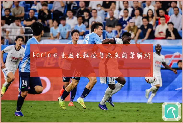 Keria电竞成长轨迹与未来前景解析