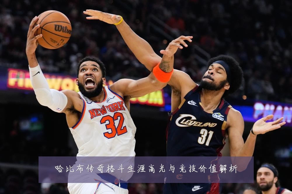 哈比布传奇格斗生涯高光与竞技价值解析